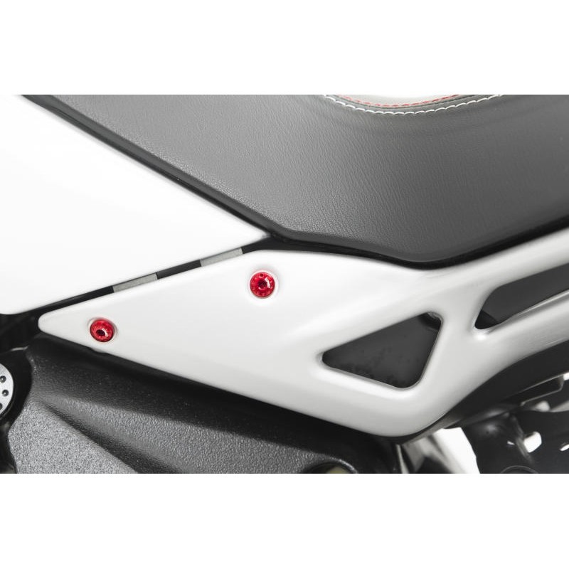 CNC Racing Multi Use Fairing Bolt Kit (4 Pieces) - Ducati Panigale / S / Speciale, Streetfighter V4/V2, DesertX, and MV Agusta Dragster & Rivale