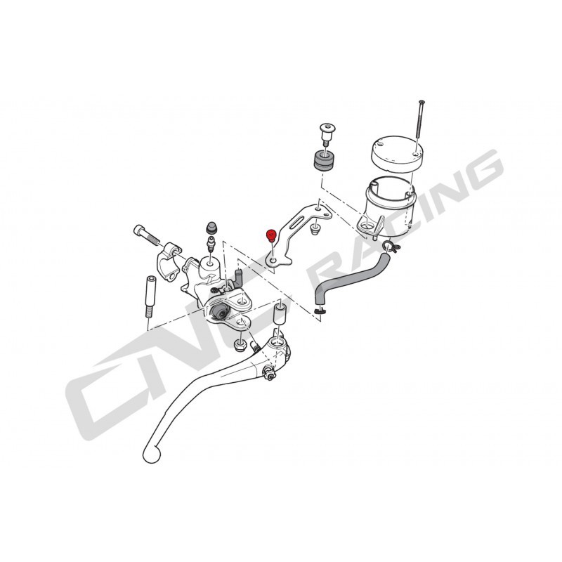 CNC Racing Titanium Reservoir Bracket Screw - Most Ducati Models