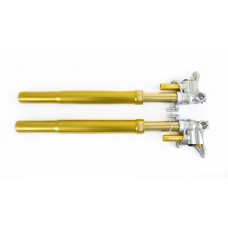 Ohlins FGR300 MotoGP Superbike Forks FGR 300